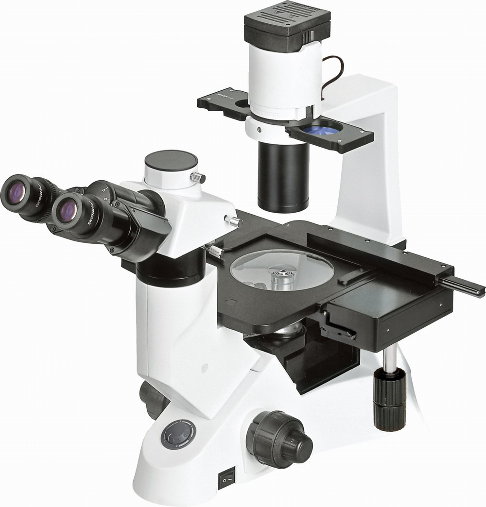 NIB-100 Inverted Microscope