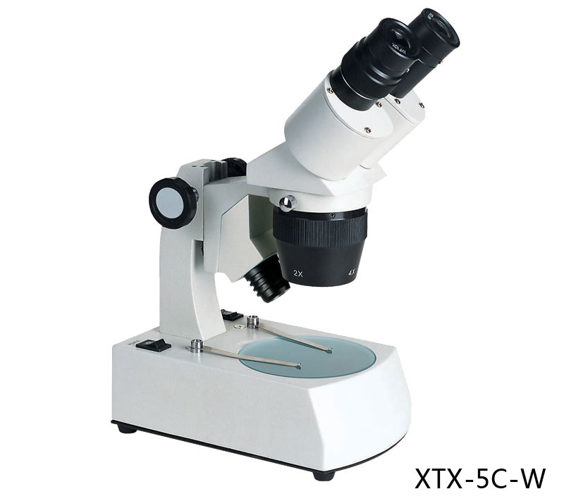 XTX-5 Series stereo Microscope