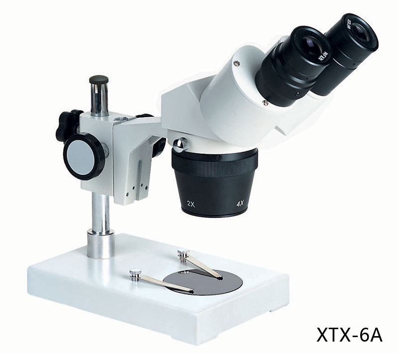 XTX-6 Series stereo Microscope