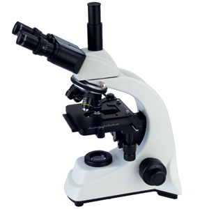 BM-500 serial biological microscope